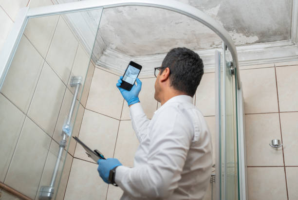 Montgomery County Mold Removal